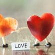 Aku Cinta Kamu dalam 25 bahasa Daerah di Indonesia
